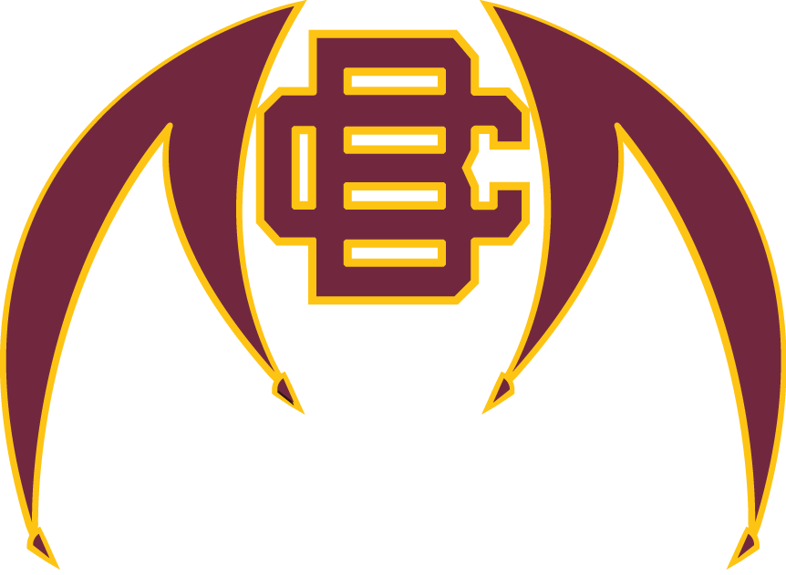 Bethune-Cookman Wildcats 2010-Pres Alternate Logo v2 diy iron on heat transfer